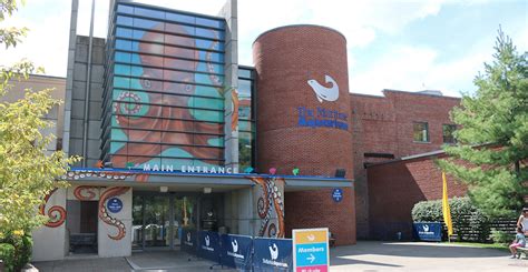 Big Changes Coming to the Maritime Aquarium - DarieniteDarienite