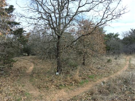 Fredericksburg Nature Center | Live Oak Wilderness Trail