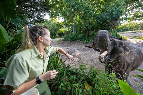 Magic of Disney's Animal Kingdom Returns To National Geographic & Disney+ In January 2023