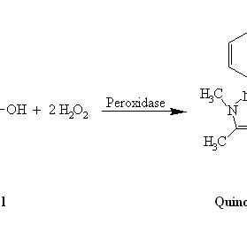 Reaction of o-dianisidine and hydrogen peroxide with peroxidase ...