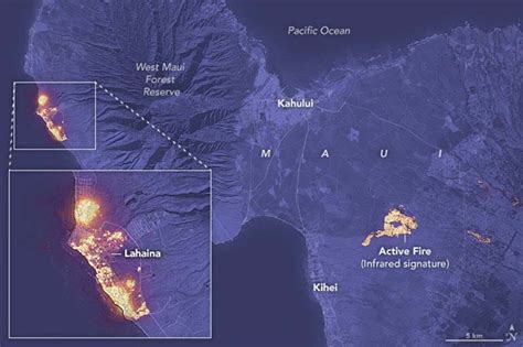 Maui Wildfire Death Toll Climbs as Projected Losses Top $5 Billion - Cleanfax