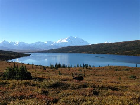 Matanuska-Susitna Valley AK News, Events, Deals & Real Estate - Parkbench