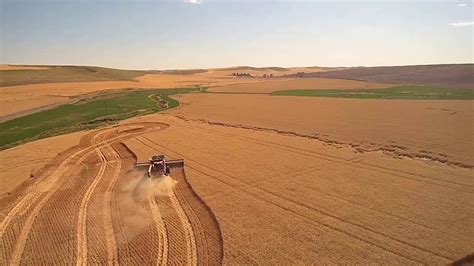 Wheat harvest on the Palouse along Kamiak Creek by Palouse Rock Lake Conservation District - YouTube