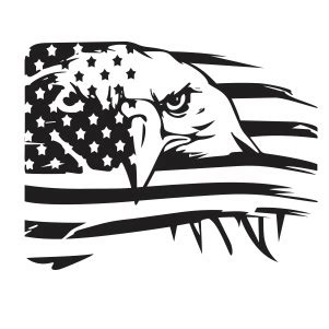 Usa Eagle Flag Svg | American Flag Bald Eagle Flag Png