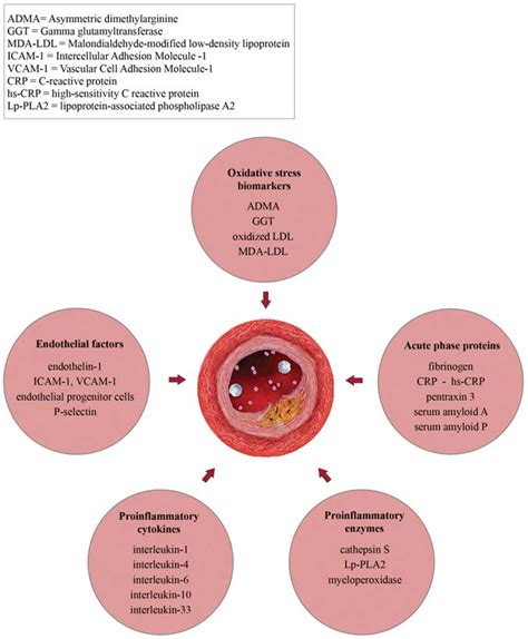 Inflammatory and oxidative stress biomarkers. | Download Scientific Diagram