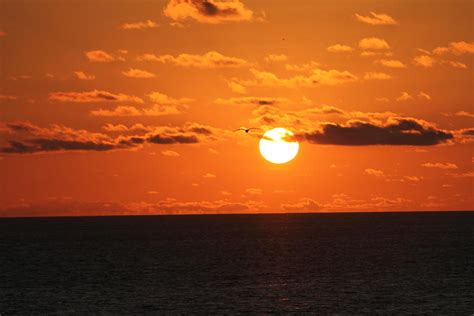 Madeira Beach sunset Photograph by Richard Hall - Fine Art America