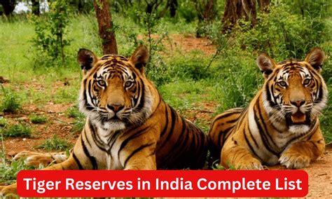 Tiger Reserves in India Complete List and Importance