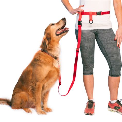 The Buddy System + Adjustable Hands Free Dog Leash, Hand Leash for ...