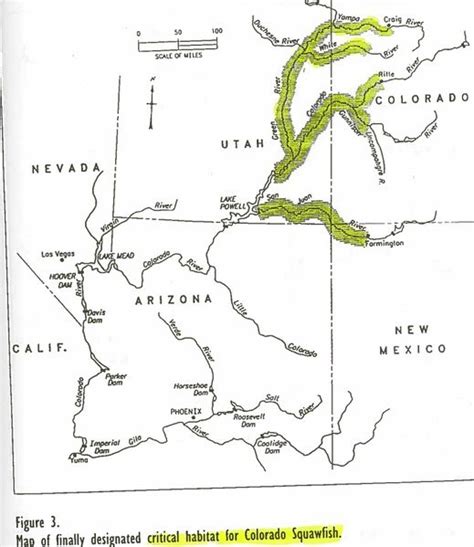 File:MAP- Critical Habitat for Squawfish.jpg - Glen Canyon Dam AMP