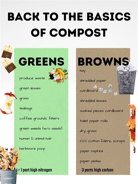 Composting Basics: Learn How to Make Compost With Easy Tips From an Expert Gardener — Cindy Heath