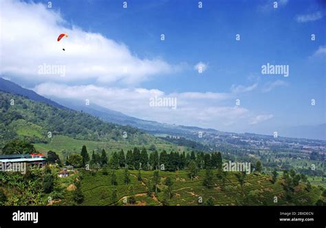 Puncak View, Cisarua, Bogor, West Java, Indonesia Stock Photo - Alamy