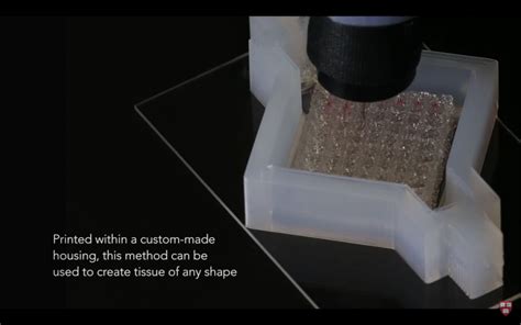 Bioprinting Gets a Boost from Thick 3D Printed Human Tissues - 3D ...