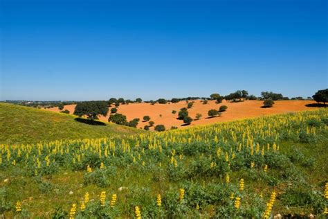 Aspects of The Alentejo Walking Holiday - Walking Holidays in Portugal