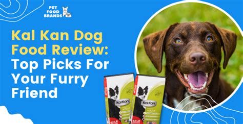 Kal Kan Dog Food Review: Top Picks For Your Furry Friend