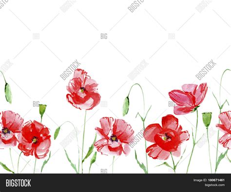 Seamless Border Poppy Image & Photo (Free Trial) | Bigstock