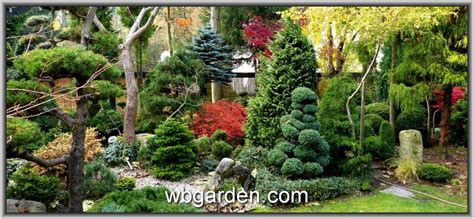 Dwarf conifers garden - wbgarden.com photo & image | landscape, gardens & parks, nature images ...