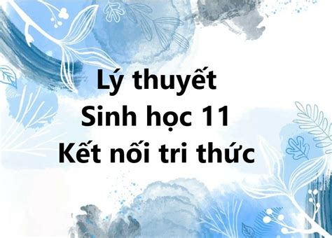 Lý thuyết Sinh học 11 Bài 27 (Kết nối tri thức): Sinh sản ở động vật