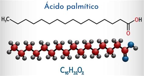 Ácido palmítico: qué es, estructura química, propiedades, usos