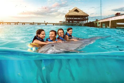 Dolphin Discovery is one of the very best things to do in Cancún