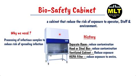 Biosafety Cabinets Levels | Cabinets Matttroy