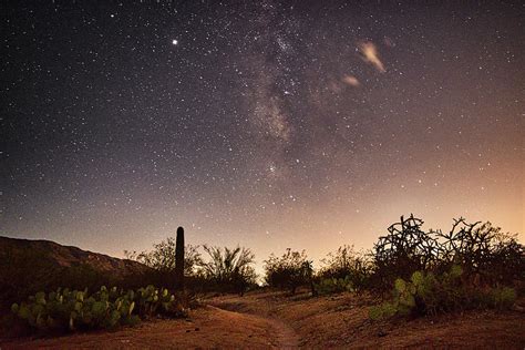 Night Sky over Saguaro National Park Photograph by Chance Kafka - Fine ...