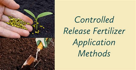 Controlled Release Fertilizer Application Methods in Plant Nurseries ...