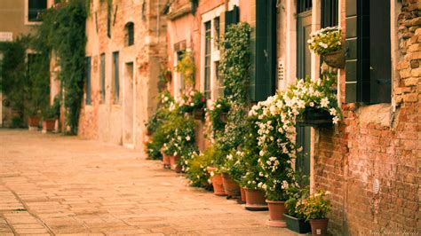 Wallpaper : flowers, garden, street, Italy, plants, Venice, road, house ...