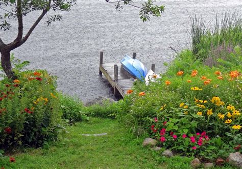 Joe's Retirement Blog: Warm Summer Rain, Bartlett Pond, Manomet, Plymouth, Massachusetts, USA