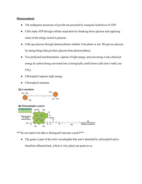 Biol 2003 - Week 14 - Photosynthesis - Photosynthesis The endergonic ...