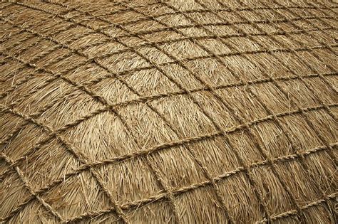 brown thatch roof with net | Thatched roof, Thatch, Roof architecture