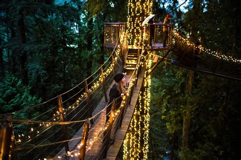 Treetops Adventure & Cliffwalk - Capilano Suspension Bridge (North Vancouver) | ActiviFinder