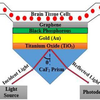 Schematic of the proposed SPR configuration | Download Scientific Diagram