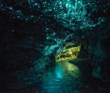 Te Anau Glow Worm Caves, Queenstown | Ticket Price | Timings | Address ...