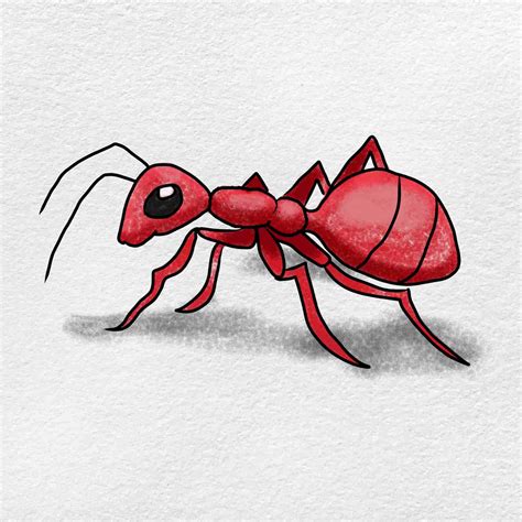 Ant Drawing For Kids