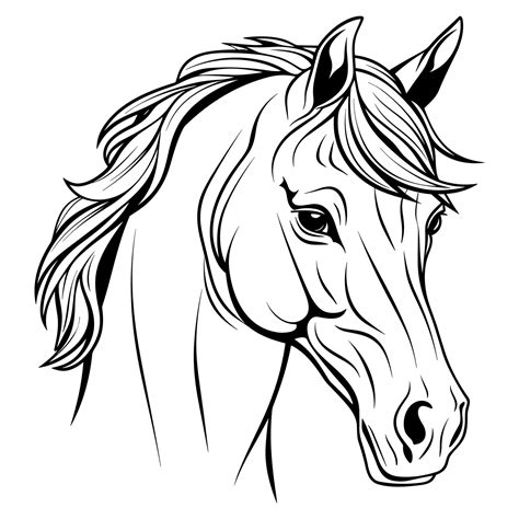 Horse head coloring page 28839694 Vector Art at Vecteezy