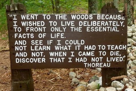 A (Transcendentalist) Walk in the Woods - Ecology Lesson Plan ...