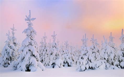 Beautiful Winterscape HD wallpaper | Pxfuel