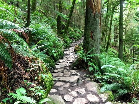 Hiking with Kids: Chirico Trail to Issaquah, WA's Poo Poo Point ...