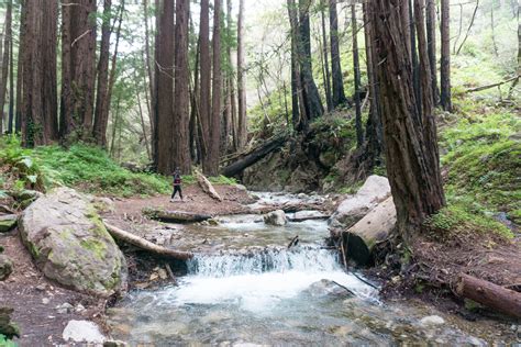 Hiking in Big Sur - Limekiln State Park - Her Travel Edit