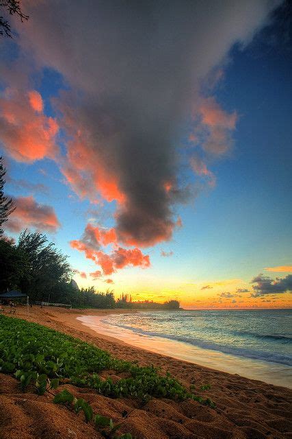 Kauai Sunset | Beach sunset, Nature, Scenery