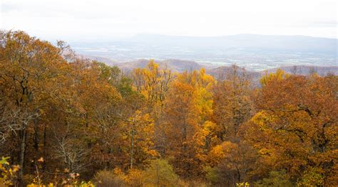 Best Places for Fall Foliage in Shenandonah Valley | Momma Wanderlust