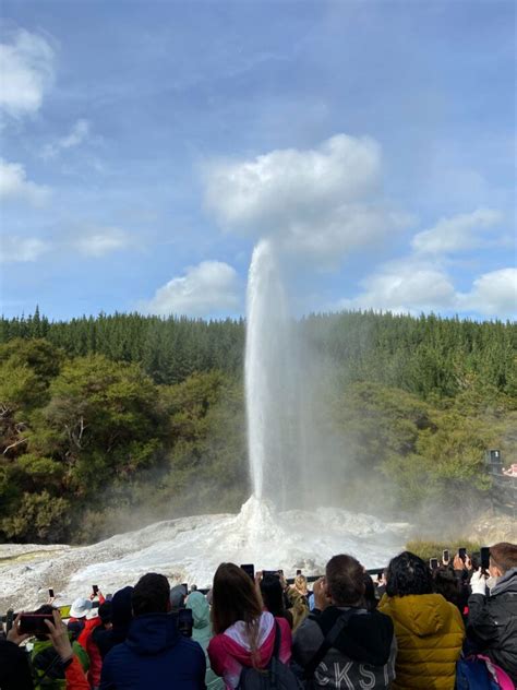 Which Rotorua Geothermal Park Should You Visit?