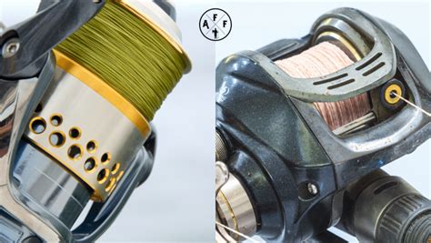 Baitcaster Vs Spinning Reel | Which Reel Should You Use?