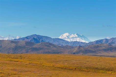 The 19 ABSOLUTE Best Hikes In Denali National Park For 2024 - National ...