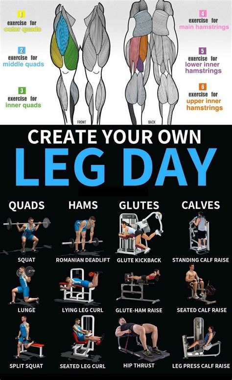 6 ejercicios esenciales para tu RUTINA DE PIERNA |Workout legday ⋆ ...