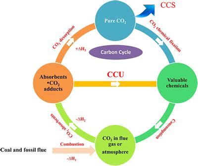 Frontiers | CO2 Capture and in situ Catalytic Transformation