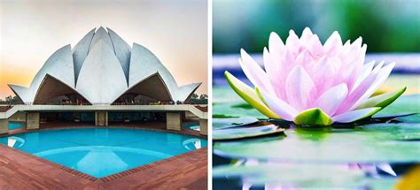 10 incredible architectural masterpieces inspired by nature | ALK3R ...