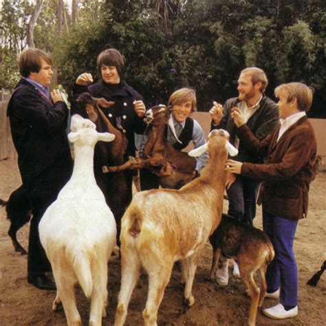 Pet Sounds album cover : r/LetsTalkMusic