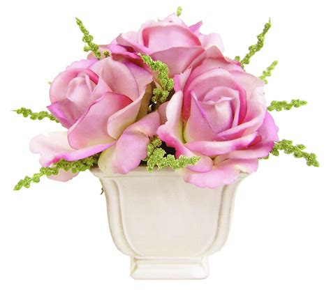 ForgetMeNot: pink roses in pots