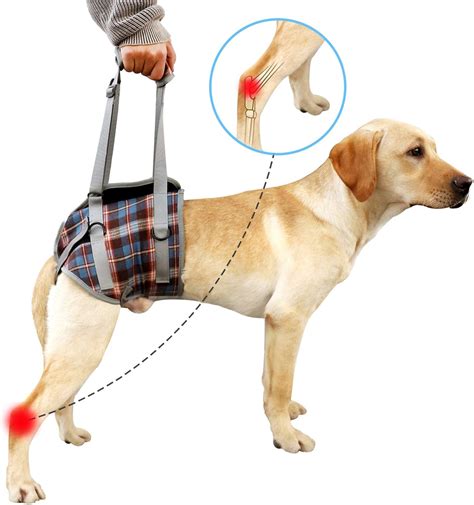 Dog Lift Support Harness Pet Back Legs Lifting Adjustable Dog Recovery Sling Rehabilitation ...